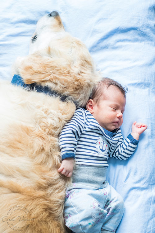 Neugeborenenfotografie, Babyfotografie, Babyfotos, Zuhause, Newbornshooting, Newbornfotografie, Babyshooting, Babyfotograf, Newbornfotograf, Baby Fotoshooting, Homestory, Homeshooting