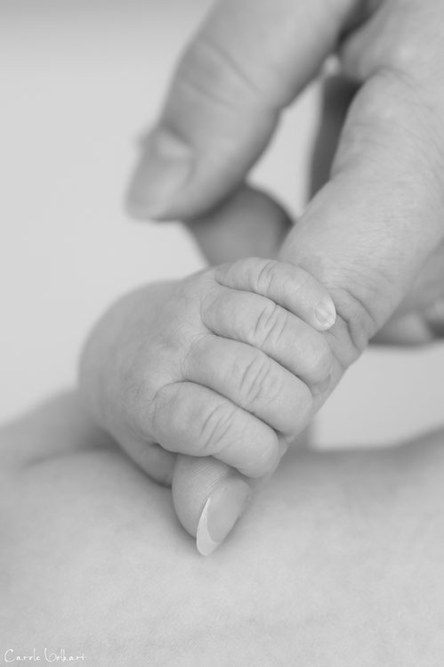 kleines Baby Händchen, Neugeborenenfotografie, Babyshooting, Babyfotograf, Babyfotografie, Basel