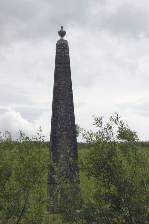 diesen Obelisk hat ein früherer Gutsbesitzer als Gedenken an seine früh verstorbene Frau aufstellen lassen (Raheen Wood)
