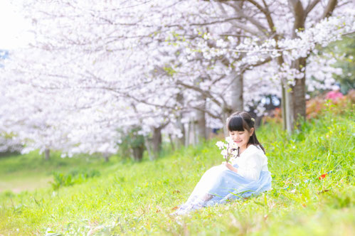 桜の季節の撮影会は毎年好評です