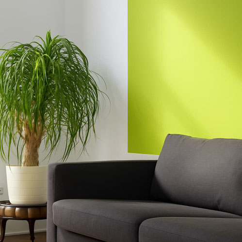 mur salon peint en vert