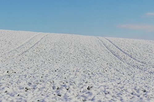 7 von 12: Schnee und blauer Himmel