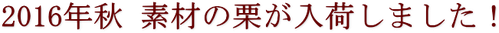 2016年秋 素材の栗が入荷しました!