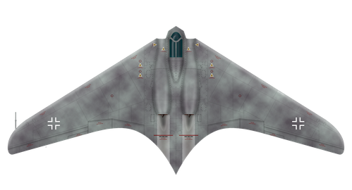 Gotha Ho 229