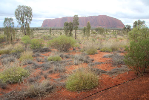 Uluru