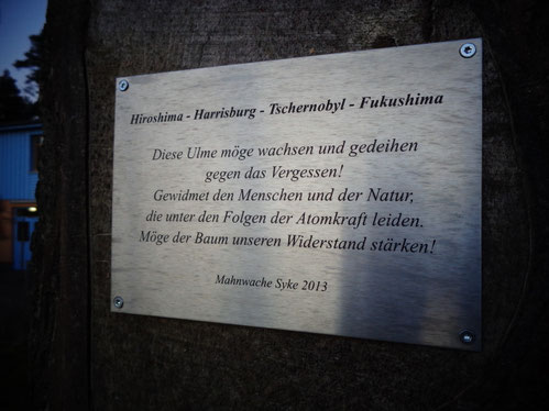 Gedenktafel bei "unserer" Ulme vor dem "Westflügel"