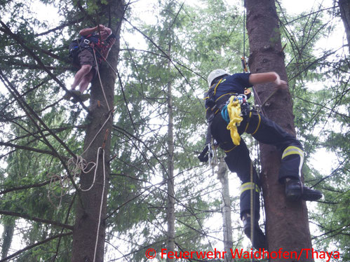 Feuerwehr; Blaulicht, FF Waidhofen/Thaya; Übung; Fallschirmspringer; Baum; Höhenrettungsgruppe;