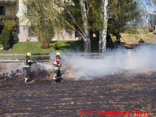 Feuerwehr; Blaulicht, FF Waidhofen/Thaya; Unfall; LKW; Reifenplatzer; Straßengraben; B36;