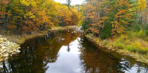 New England in the Fall - Dante Harker