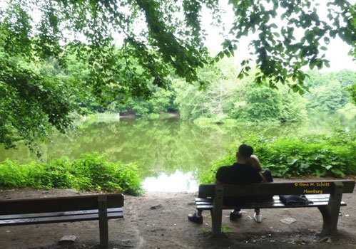 Am See, Hamburg-Volksdorf, Foto: Ilona M. Schütt, www.basenfasten-hamburg.net