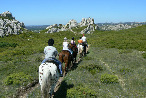On Foot, Bike, Horse or Cabriolet... Go Green with your Team !