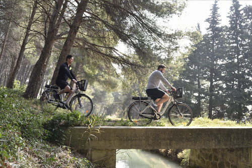 On Foot, Bike, Horse or Cabriolet... Go Green with your Team !