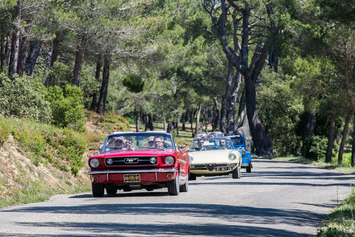 On Foot, Bike, Horse or Cabriolet... Go Green with your Team !