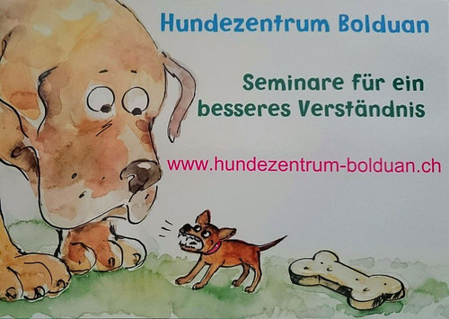 Seminare für ein besseres Verständnis