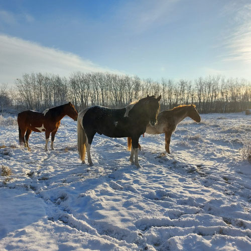 Photo was taken Nov. 9, 2023