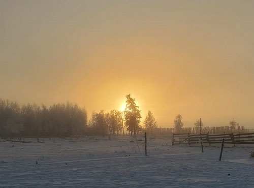 I love sunrises through hoar frost and fog, they make the best pictures.