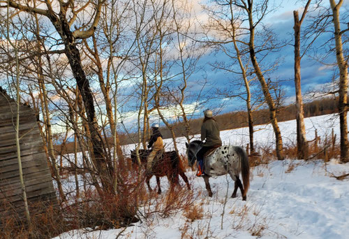 We did a great deal of riding during February and enjoyed the trail to the Lake besides our skijor practices.