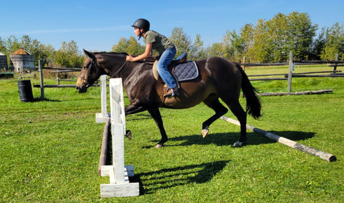 Winning Ways offers the opportunity to ride both English and Western.