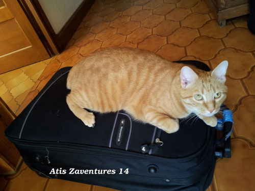 Moi je ne bouge plus de là! Je pars avec la valise! ;-)