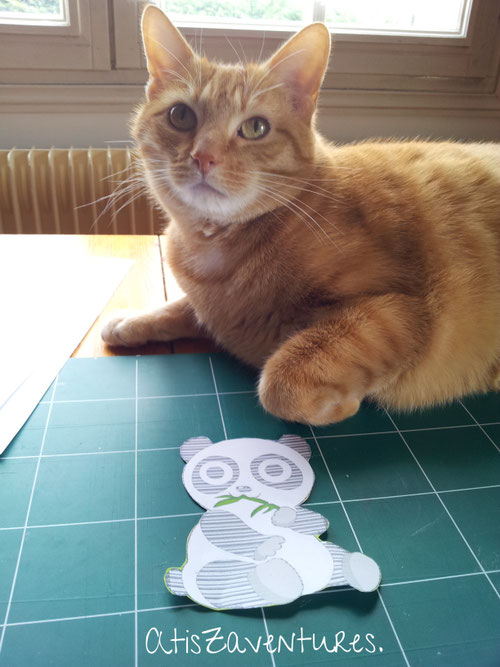 Baby Bib Bavoir Pour Bebe Site Jimdo De Atis Chaton