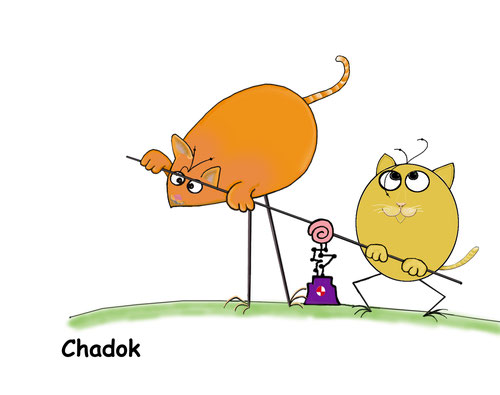 Chadok ou SHADOK! OK
