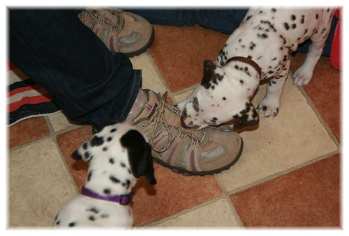 Begeistert waren alle auch von den Schuhen und den Schnürsenkeln unserer Besucher.