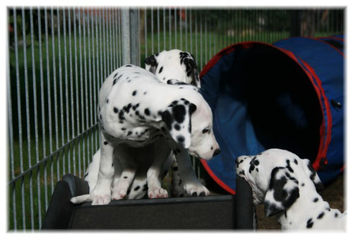 Emmely (links) hat ihre Schwester Esprit Lola (rechts) ganz genau im Blick...!
