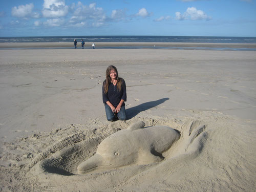 wangerooge strand delphin 