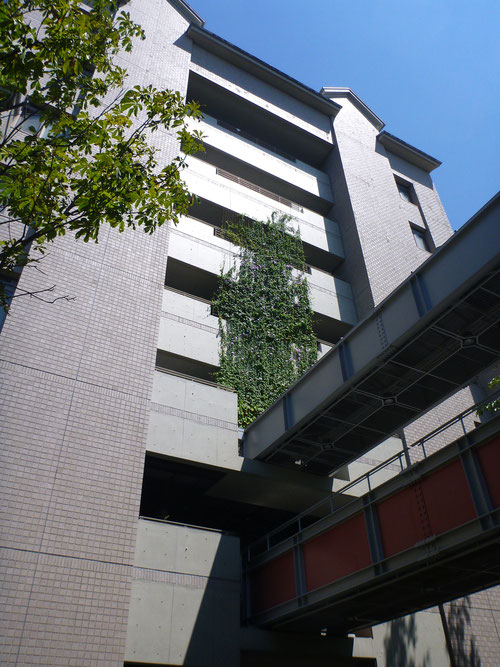 8号館西側ベランダ8/22