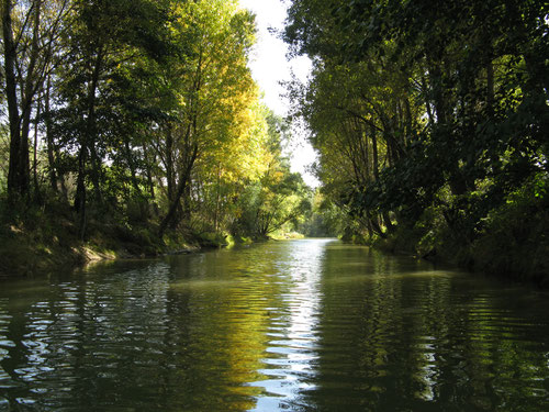 Seitenrinne bei der Donauinsel