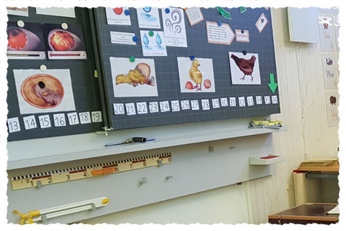 Hühnerbild im Klassenzimmer