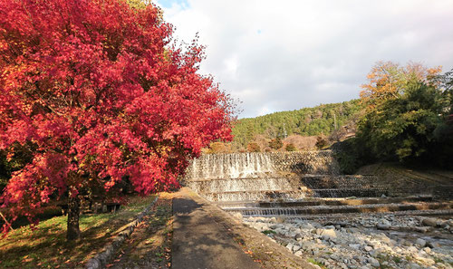 紅葉,鉄板,オサエちゃん,峰一合遺跡,縄文公園,城平見晴台,雨情公園,下呂市,コーヒー,みたらし団子,パニーニ,シングルバーナー