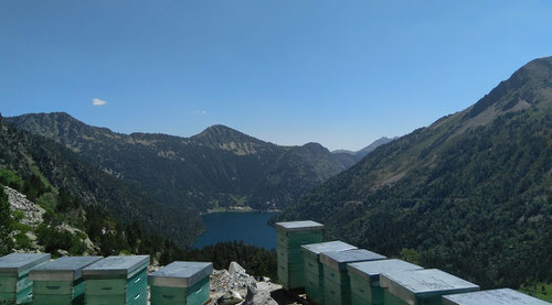 Le rucher de Cap de Long à 2153m d'altitude, dans le Massif du Néouvielle.