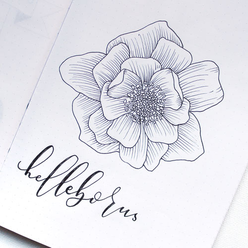 Review Florals By Hand Lettering Watercolor