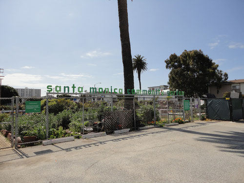 Santa Monica Community Garden