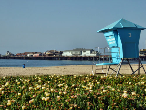 Santa Barbara, Stearns Wharf