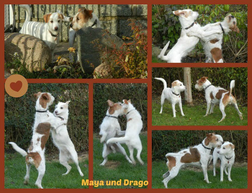 Hochzeit von Maya und Drago