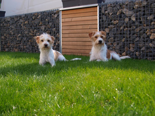 Elfe und ihr Freund Twister. Hast du einen Freund so bist du reich :-)