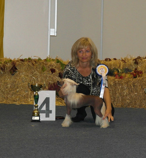 Bundessieger Tulln 2014/09/28, Best of Breed und 4. Platz Best in Group