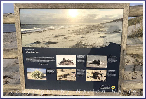 Schild am Übergang zum Weststrand. Es kennzeichnet zusammen mit dem Zaun den Beginn der Kernzone am Darßer Ort/Mecklenburg-Vorpommern.