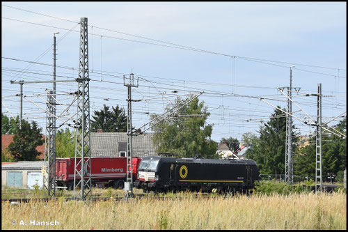 Nur ein Notschuss gelang am 20. Juli 2025 von 193 614-5 in Luth. Wittenberg Hbf.