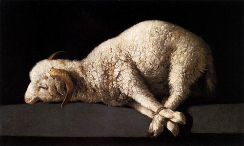 La intención estética de Zurbarán es bien distinta, ensalza la austeridad y sencillez haciéndose eco de los valores morales y estéticos del símbolo religioso Agnus Dei, silencio , recogimiento y oración.Zurbarán 1635.Museo del Prado Madrid.