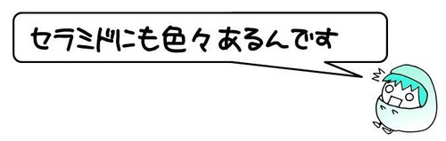 セラミドにも色々あるんです