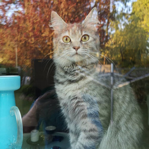 Madame Milo:Weitblick