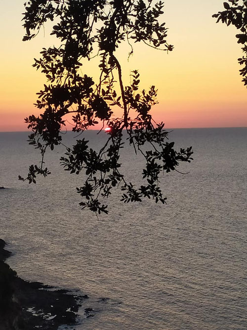 Jijel