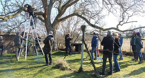 Publikum in Edingen