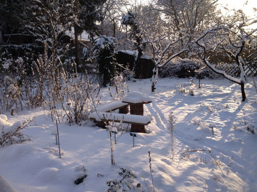 Und doch noch Schnee