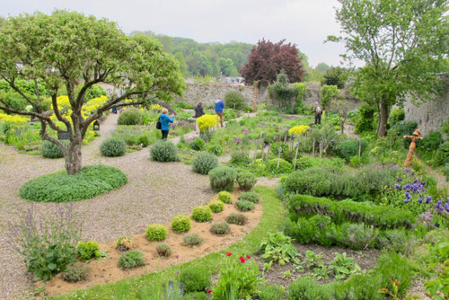 Somme Groupes - Somme - Groupes - Voyages en groupes - Hauts de France - herbarium - Scolaires - Jardins - Fleurs - remparts- Picardie