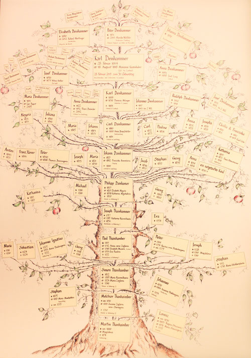 400 Jahre DEINHAMMER - Zeichnung: Johanna Deinhammer, Datenrecherche: Peter Deinhammer, Kalligraphie: Elisabeth Nöstlinger, geb. Deinhammer