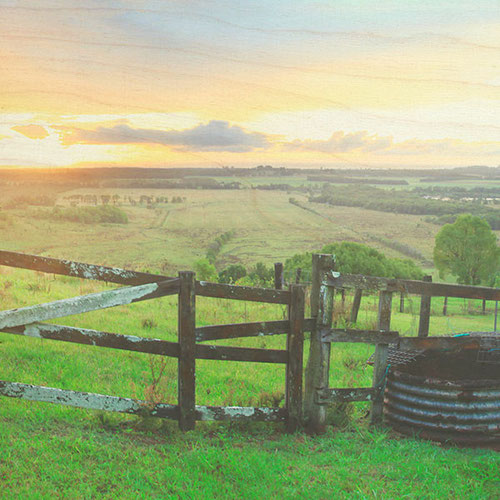 Photo on Timber Coolamon Ridge
